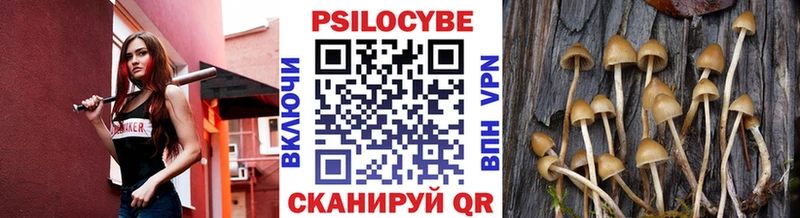 Галлюциногенные грибы GOLDEN TEACHER  MEGA ссылка  Гагарин  купить наркоту 